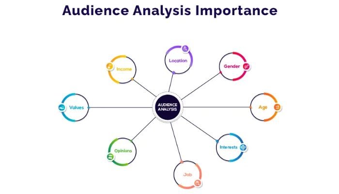 Audience analysis performance