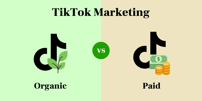 Organic vs. Paid TikTok Marketing
